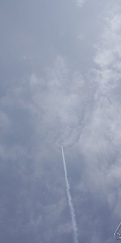 2013 Svojek Mirek Topinka